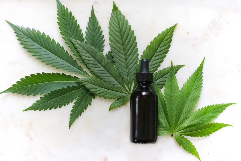 cbd-oil-and-plant