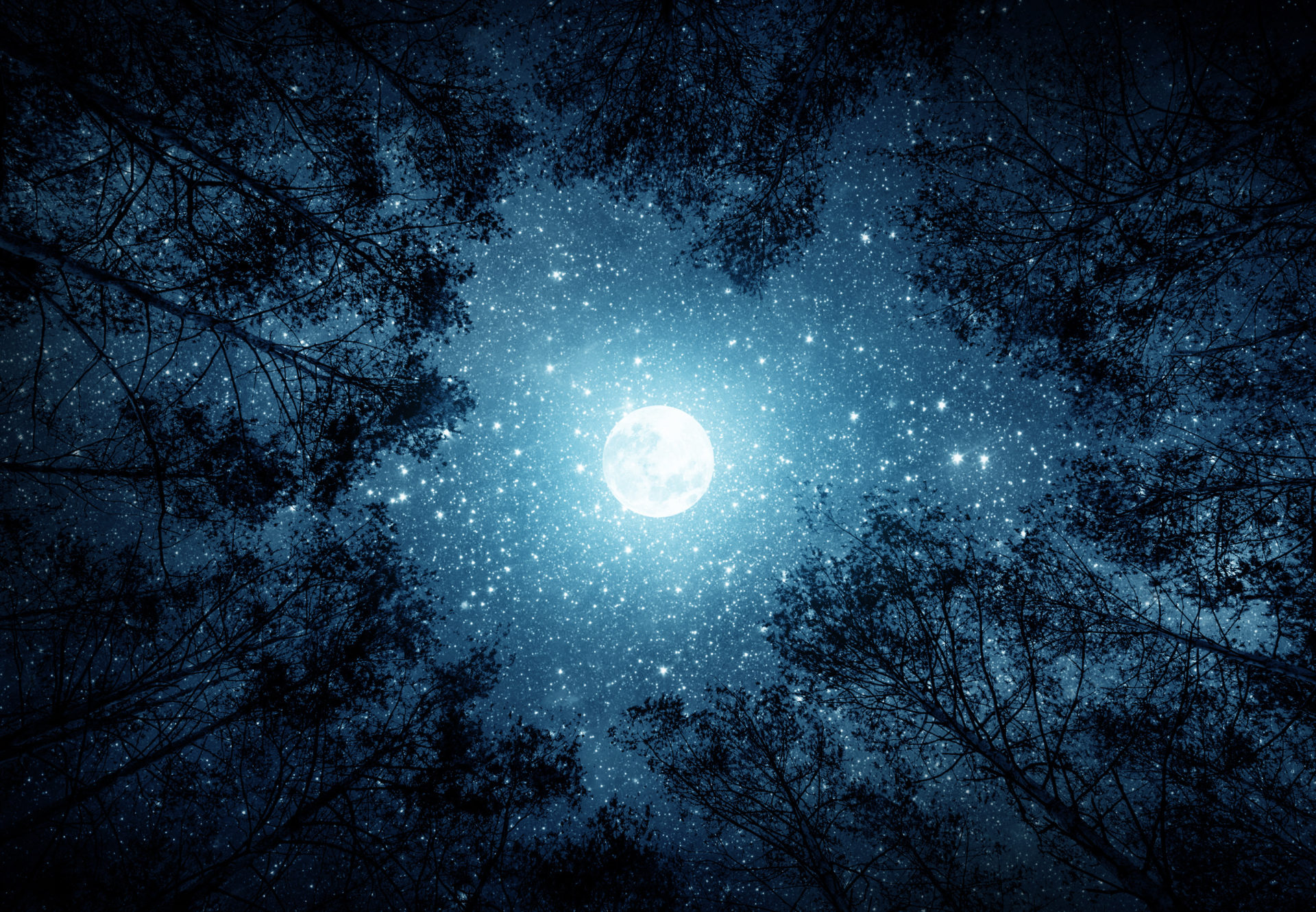 Launching America’s Recycling Moonshot