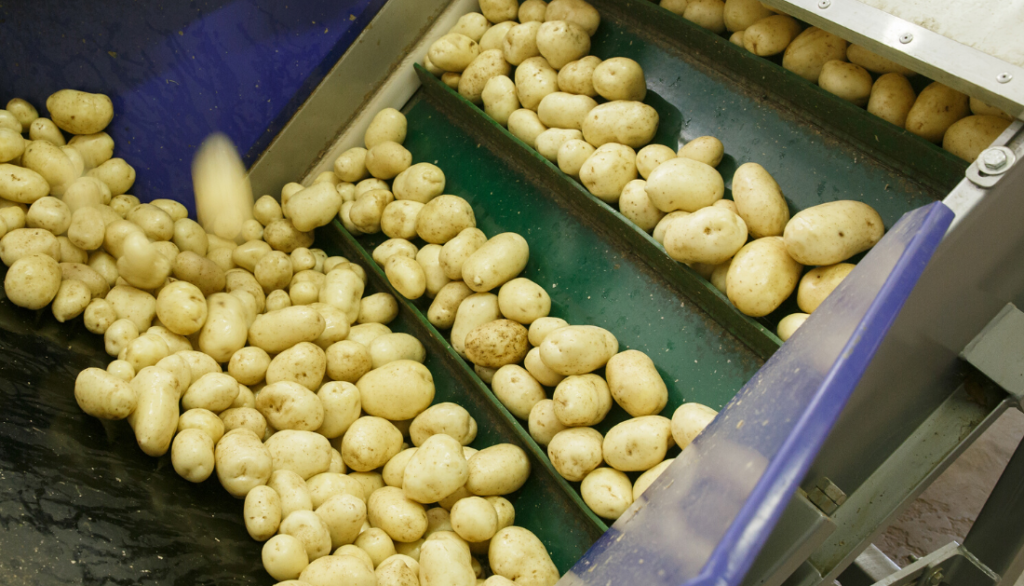 potato-machine-facility-cleaning